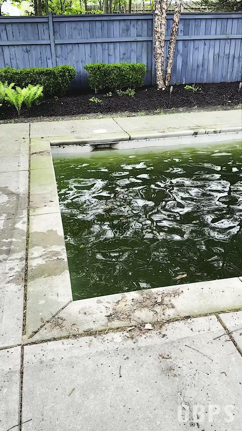 White Pool Renewal