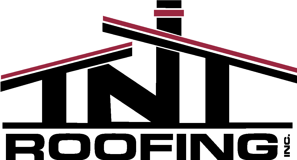 TNTlogo